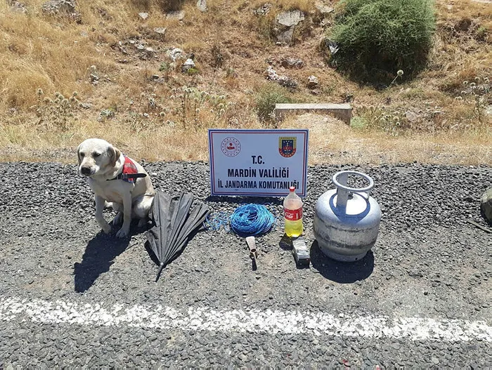Hainler bayramı kana bulayacaktı! Mardin'de jandarma ekipleri yola tuzaklanan EYP'yi imha etti - 1