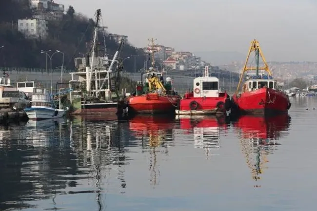 Karadeniz'de bir ilk yaşandı! Balıklar tersine göçe başladı - 7