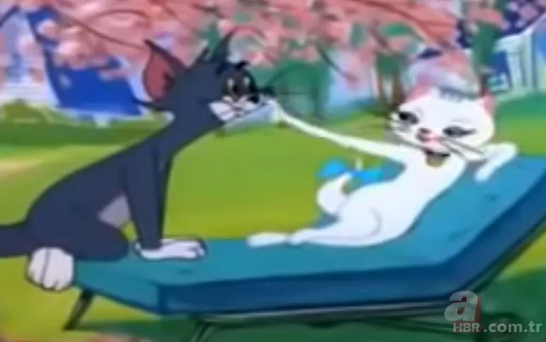 Efsane çizgi filmler nasıl sona erdi? Tom ve Jerry intihar mı etti? 2