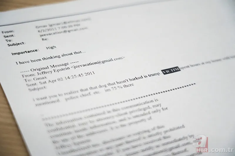 Fuhuş ağıyla suçlanan Epstein'in kardeşinden flaş iddia: Trump'la ilgili ne biliyor? 3