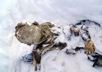 Meksika'da buza gömülmüş cesetler, üç dağcıya ait
