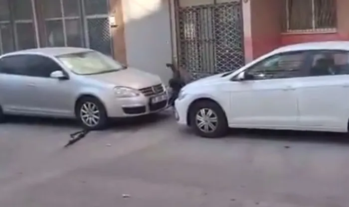 izmir-balcovada-polis-karakoluna-saldiri-sehitlerimiz-var-1757320528939.jpeg Saldırganın ses bombası attığı anlar (ahaber.com.tr)