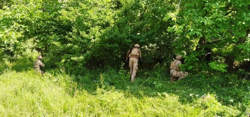 Hakkari Valiliği'nden Yüksekova'daki operasyon hakkında açıklama