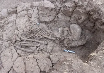 Tunceli’de 5 bin 500 yıllık iskelet bulunu