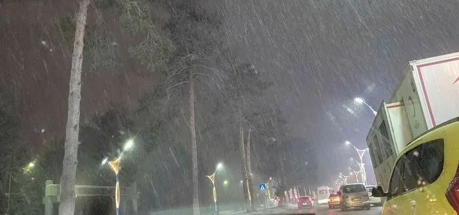 Son dakika: Bitlis’te eğitime kar yağışı nedeniyle ara verildi
