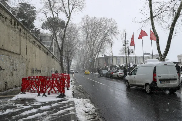 CHP’li İBB asırlık çınarları katletti! Sanatçılar sessiz kaldı! Bunun adı ikiyüzlülük
