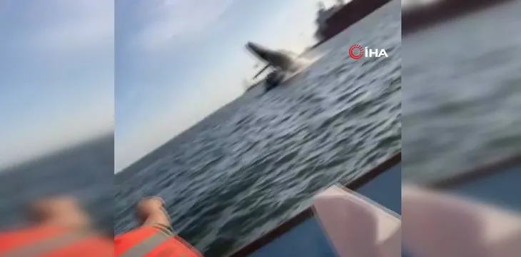 Turistler dehşeti yaşadı! Sudan sıçrayan balina tekneye çarptı