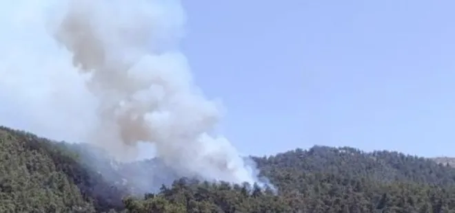 Muğla Milas'ta orman yangını! Alevler 3,5 saatin ardından kontrol altında