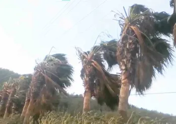 Muğla geneli fırtına uyarısı