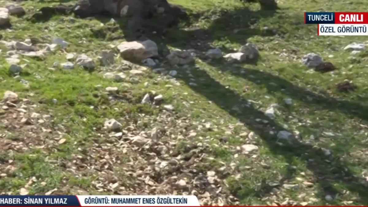 A Haber Gülistan'ın gömüldüğü iddia edilen yerde