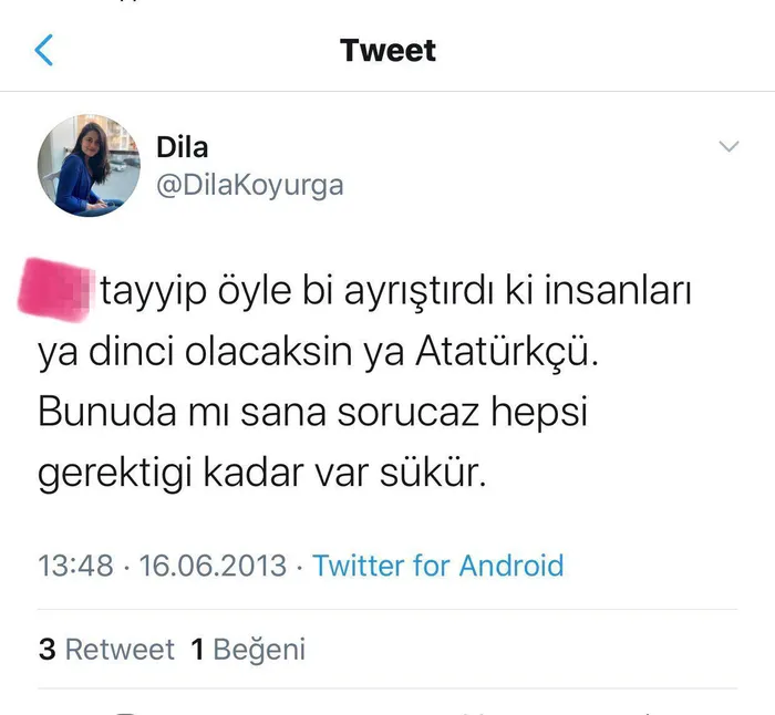 Son dakika: Başkan Erdoğan’a skandal sözler! CHP’li Dila Koyurga hakkında 8 aydır dava açılmadı