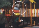 Görüntüler bir parktan! Ağzı açık izlediler