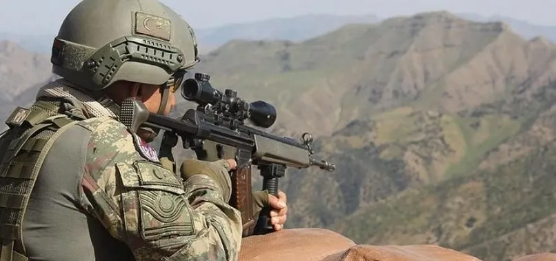 Siirt'te 5 terörist etkisiz hale getirildi