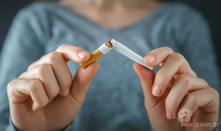 6 Aralık sigara zammı iddiası! Sigaraya zam geldi mi? BAT, JTI, Philip Morris sigara fiyat listesi!