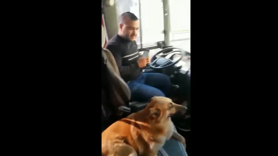 Ansızın gelen misafir! Kardan kaçtı servise sığındı | İşte yürekleri ısıtan o anlar