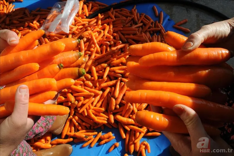 Eski bildiklerinizi unutun! Havucu böyle yiyenler şifayı buluyor 6