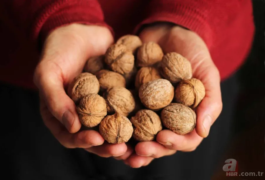 Cevizi değil zarını kaynatın! Öksürük, balgam, enfeksiyon ne varsa bıçak gibi kesiyor 5