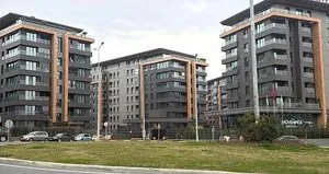 İstanbul’da İsveçli vahşeti! Öldürüp skuterle kaçtı