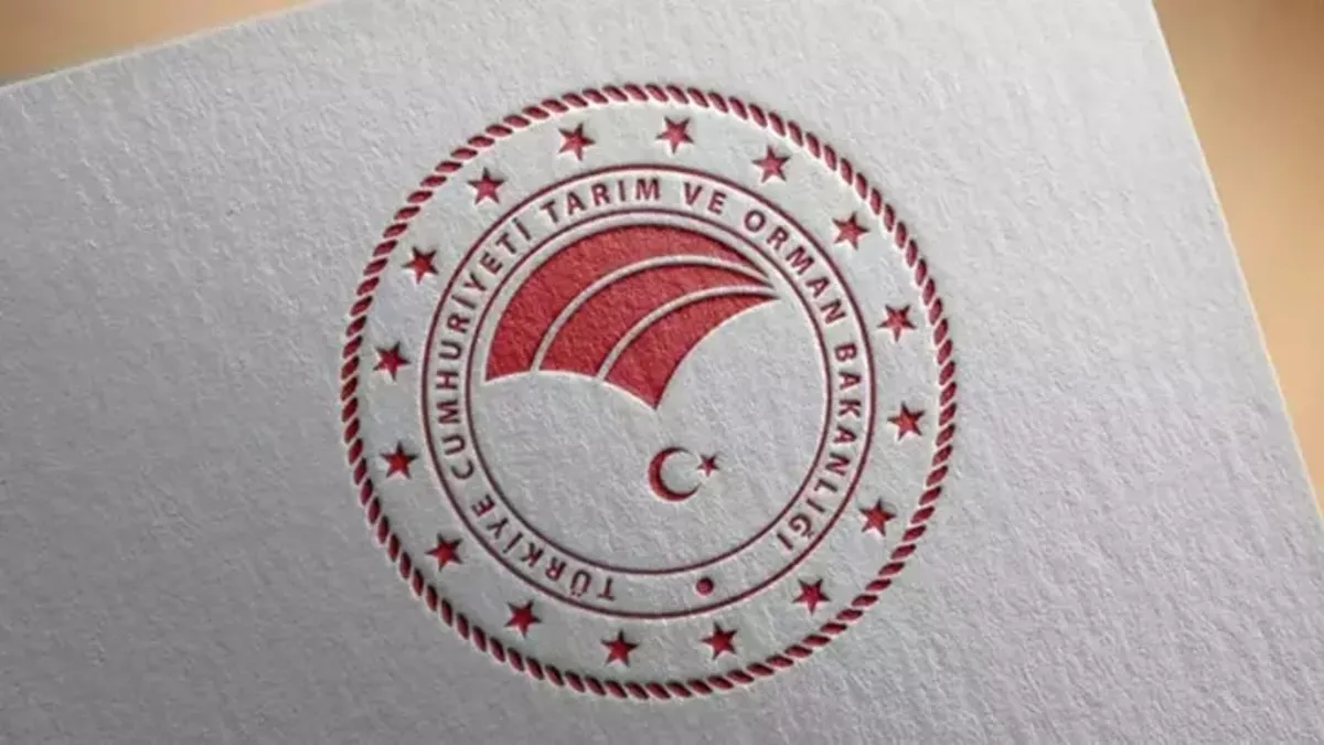 81 ilde ormanda atık toplama etkinliği