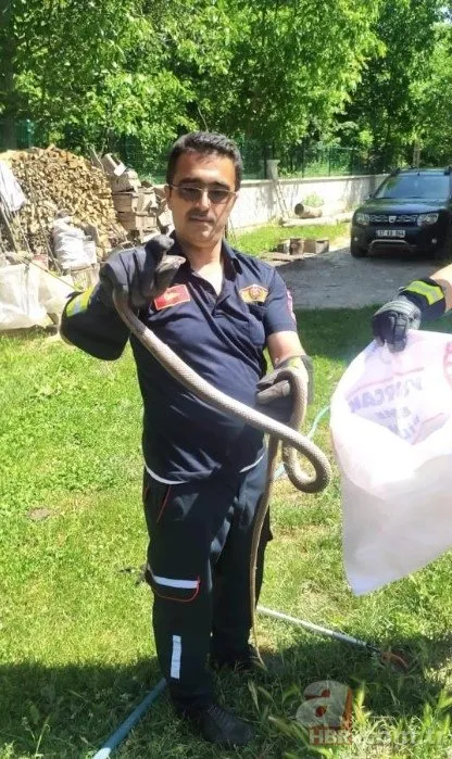 Kastamonu’da itfaiye ekiplerinin 2 metrelik yılanla imtihanı kamerada