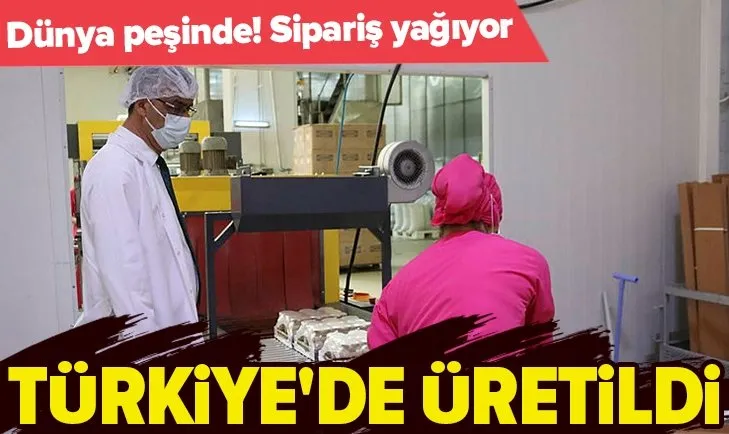 Giresun’da şekersiz fındık ezmesi üretildi 3 ülkeden talep geldi