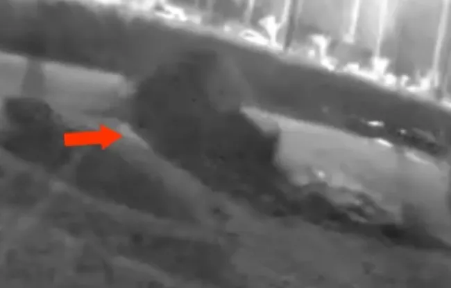 Depremden sonra şoke eden görüntü! İşte yeraltı suyunun fışkırma anı