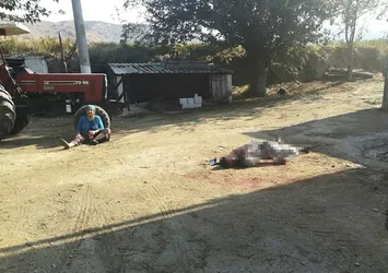 Tartıştığı oğlunu av tüfeğiyle öldürdü
