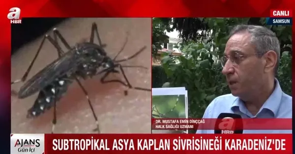 Karadeniz için Asya Kaplan Sivrisineği uyarısı