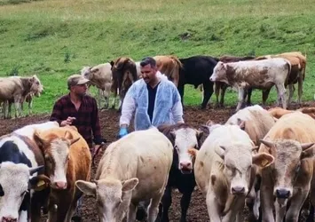 Ardahan Valiliği'nden şap açıklaması