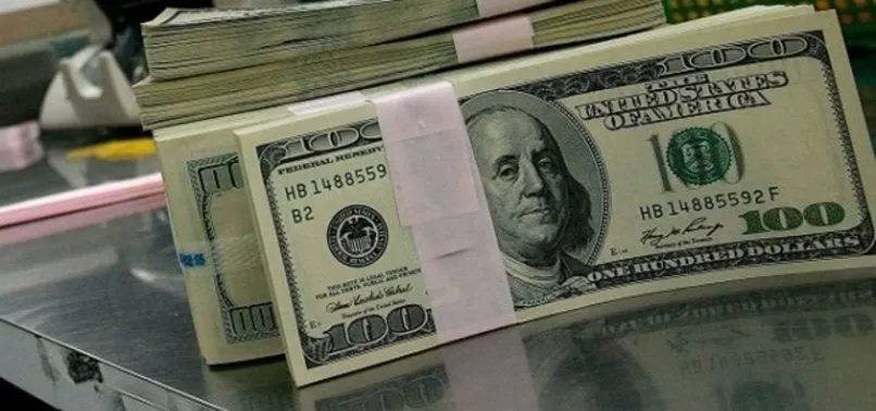 Merkez Bankası rezervleri, 101 milyar 852 milyon dolara yükseldi
