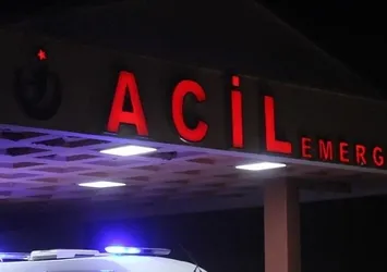 Gümüşhane'de mantar çok sayıda kişiyi hastanelik etti!