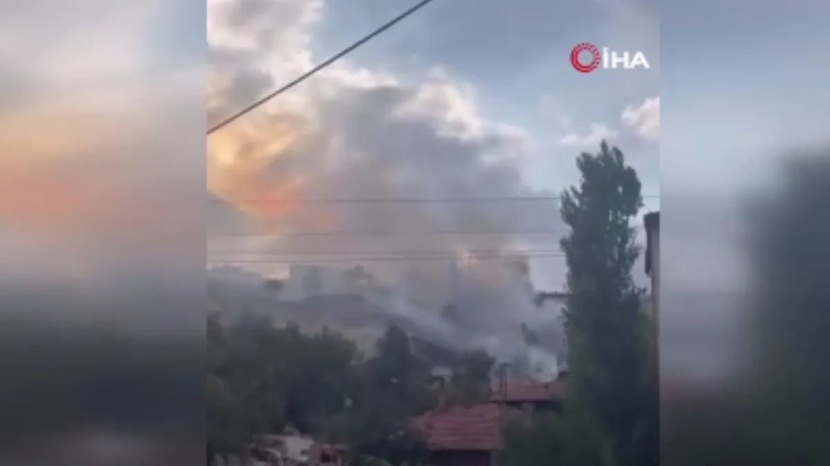 Ankara Keçiören'de ağaçlık alanda yangın