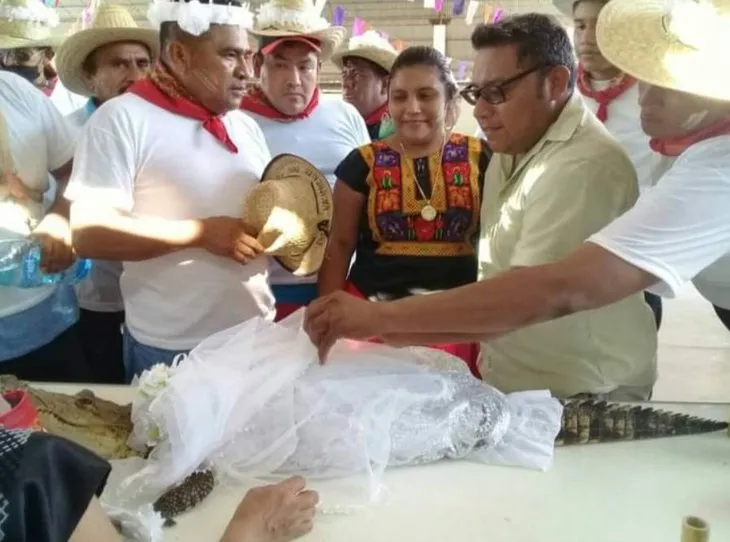 Meksika’da bir acayip düğün: Belediye başkanı timsahla evlendi