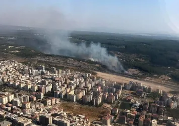 Son dakika: İzmir'de orman yangını