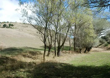 Dev yılan köylülerin kabusu oldu