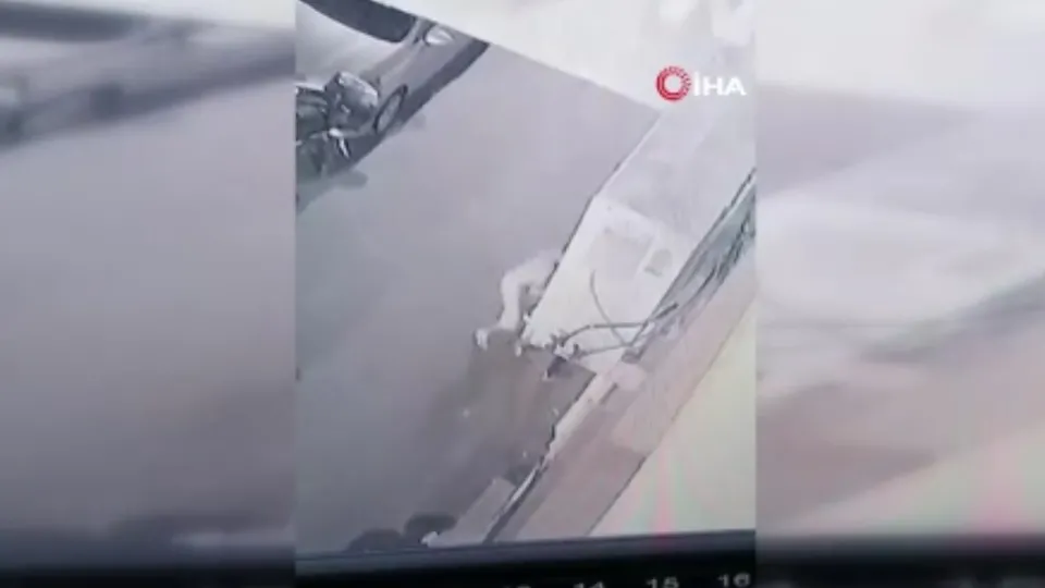 Hırsızın ‘pes’ dedirten pişkinliği kamerada! "Çay içmeye geldim"