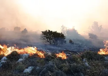 Sakız Adası alevlere teslim! Birçok köy tahliye edildi