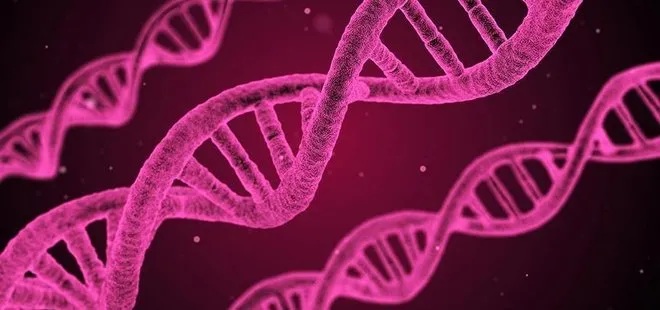 DNA’da yeni keşif