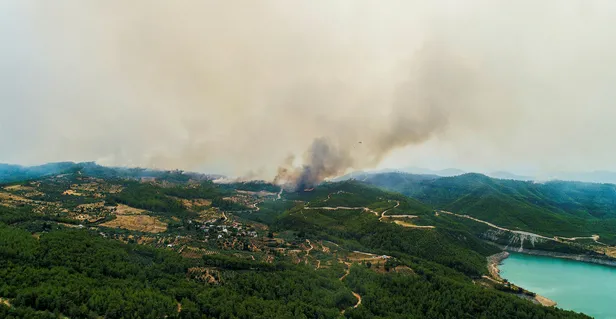 Fidan bağışı nasıl yapılır? TEMA 1 fidan fiyatı kaç TL? Yangın bölgeleri için fidan bağışı nasıl yapılır?