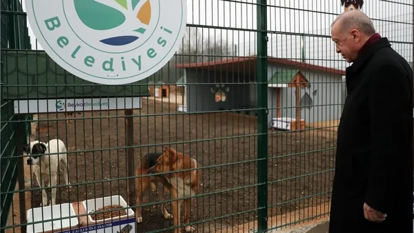 baskan-erdogan-sokak-hayvanlari-talimatini-yineledi-81-ile-barinaklar-ve-rehabilitasyon-merkezleri-kurulacak-1652359098792.jpg Başkan Erdoğan 'sokak hayvanları' talimatını yineledi! 81 ile barınaklar ve rehabilitasyon merkezleri kurulacak - 5