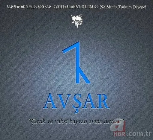 Türkiye'de hangi il hangi Türk boyundan geliyor? Şehirlerin soyağacı ortaya çıktı! 42