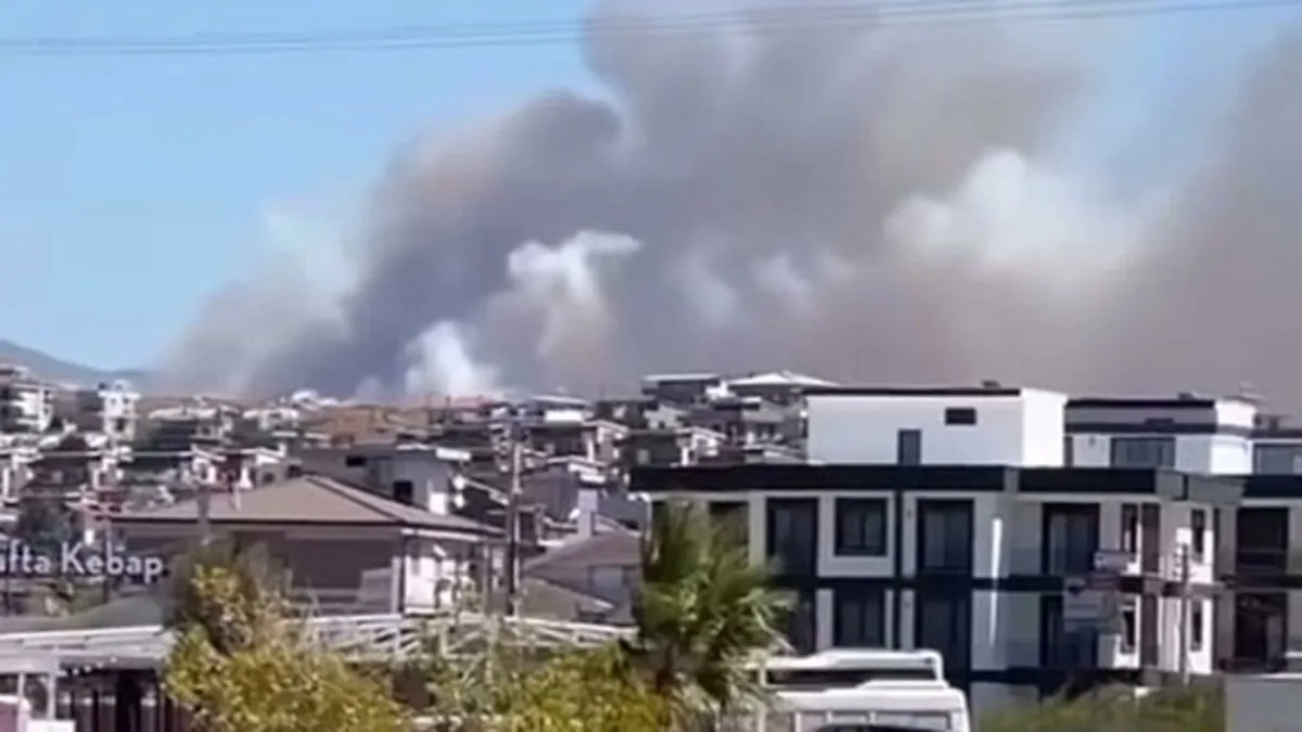 İzmir Seferihisar'da orman yangını! Alevler kontrol altına alındı