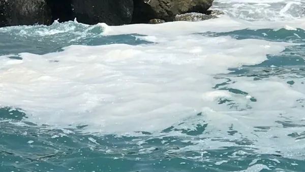 Müsilaj tehlikeli mi? Çevre ve Şehircilik Bakanlığından son dakika açıklaması!