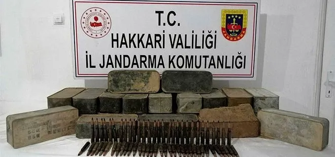 Hakkari Şemdinli’de PKK operasyonu! İnlerinde bulundu