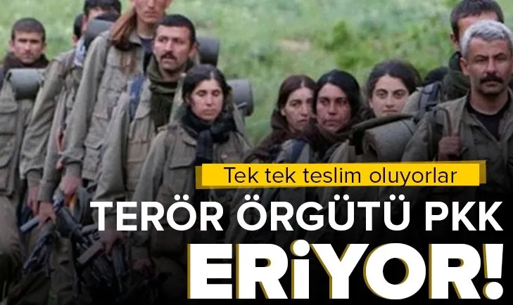 İçişleri Bakanlığından son dakika açıklaması! 3 terörist daha güvenlik güçlerine teslim oldu