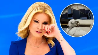 Müge Anlı'nın duygusal anları: Kayıp can dostu Zeyna ailesine kavuştu