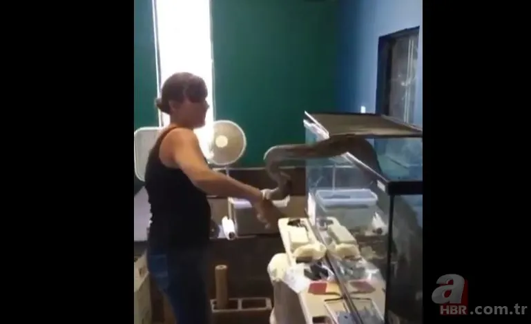 Her şey bir anda oldu! Dev piton yılanı bakıcısına böyle saldırdı 3