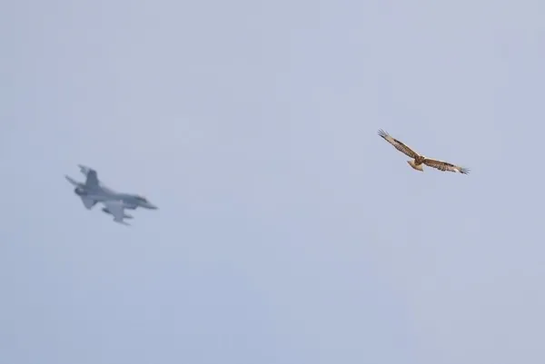1662717942732.jpg ABD'den Türkiye için F-16 ve Yunanistan açıklaması! Türkiye çok önemli bir müttefik - 3