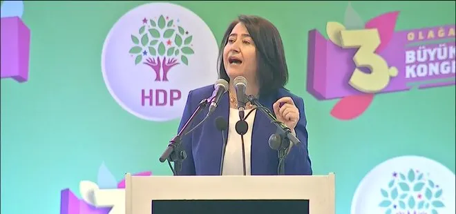 HDP’li Serpil Kemalbay gözaltına alındı