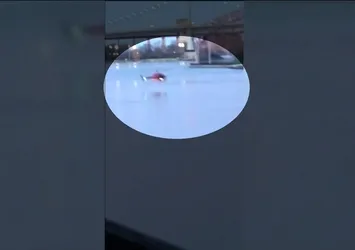 ABD’de helikopter nehre çakıldı: 2 ölü